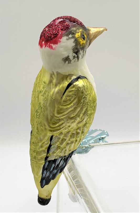 IMG_2607qJ0pcN1AOo4oc