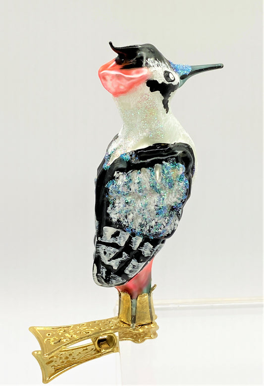 IMG_2611vjBIm2PwI0VEI