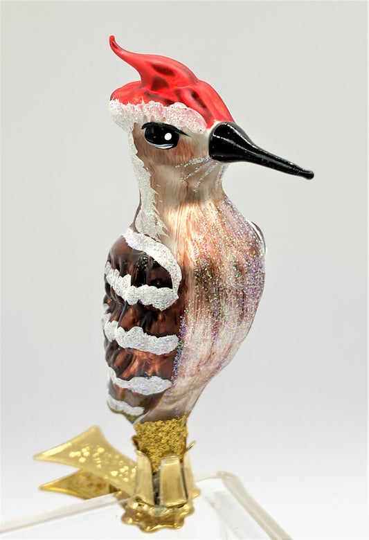 IMG_2615v4ziSDy1lsHHE