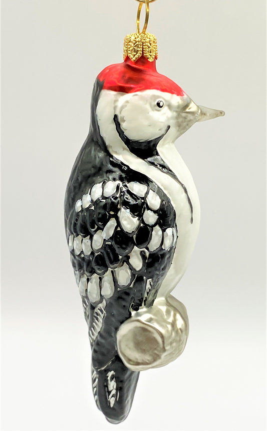 IMG_26191Tia07bZqQpka