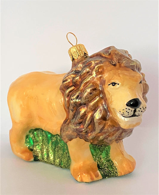 IMG_2671hJUN5Kf8bV8bN