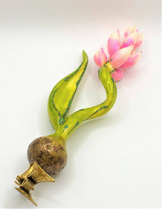 IMG_2843n2Kd1hsJ8QZBu