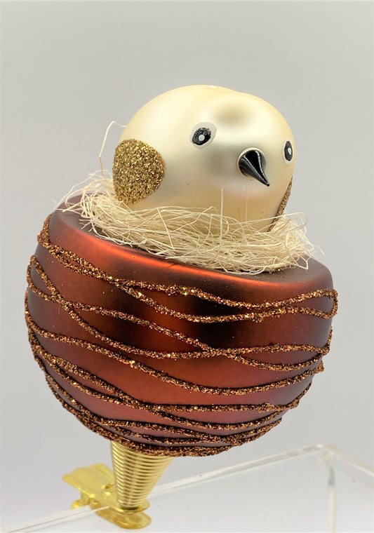 IMG_2858TTkAFMtu5rIhf