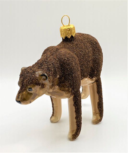 IMG_29020zeNw5luYosLk