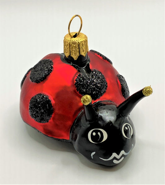 IMG_2950snD7If8iUJcwU