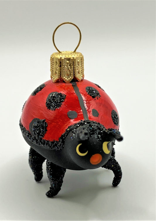 IMG_29558UZtbK3euZC3N