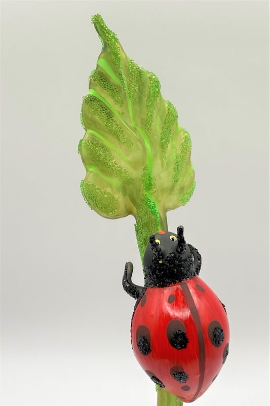 IMG_2990yu4MVit9yNfzw