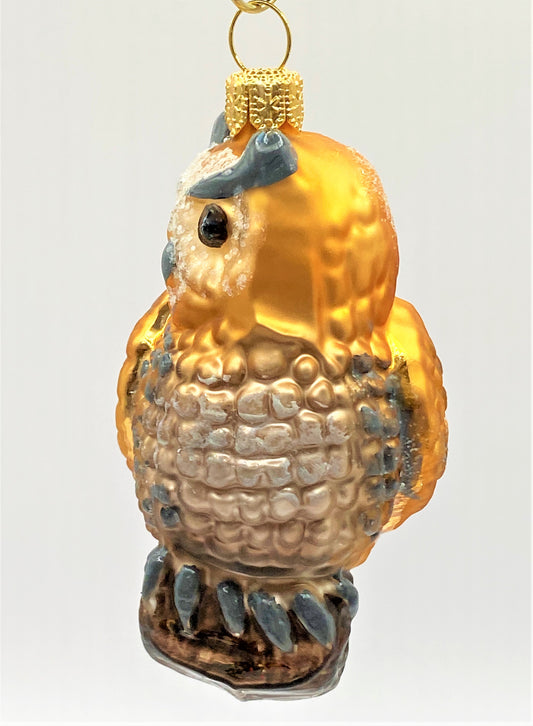 IMG_2996I0xiIq8cpbhY7