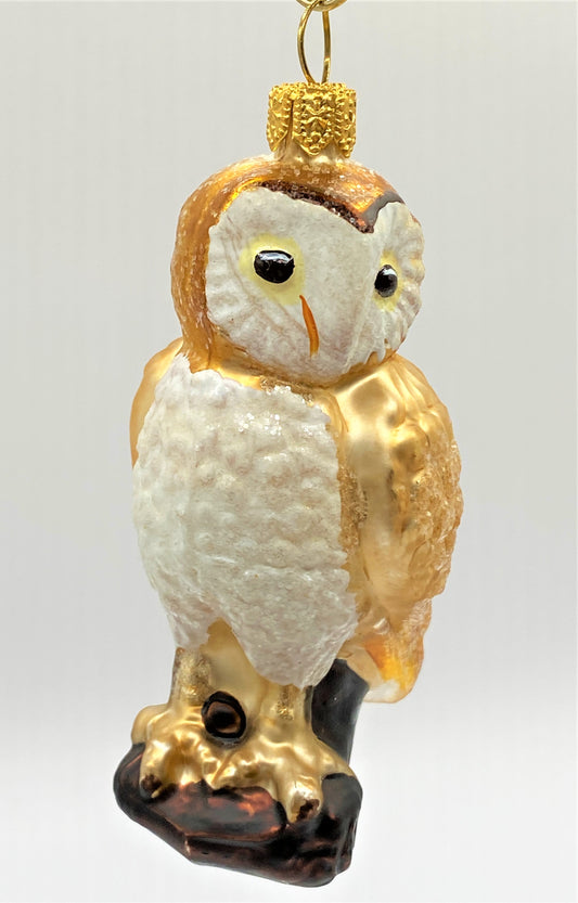 IMG_3001G6g3npSJ2qreC