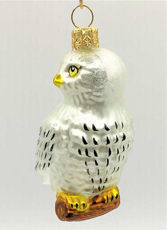 IMG_3013XUjzYL7WzrI7M