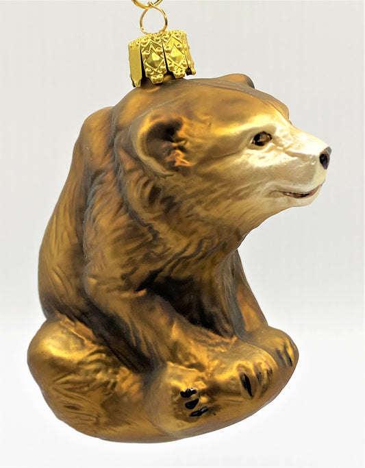 IMG_3072JG8fcPcP9KWCN