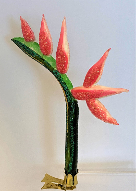 IMG_3529XtQ622lis85Es