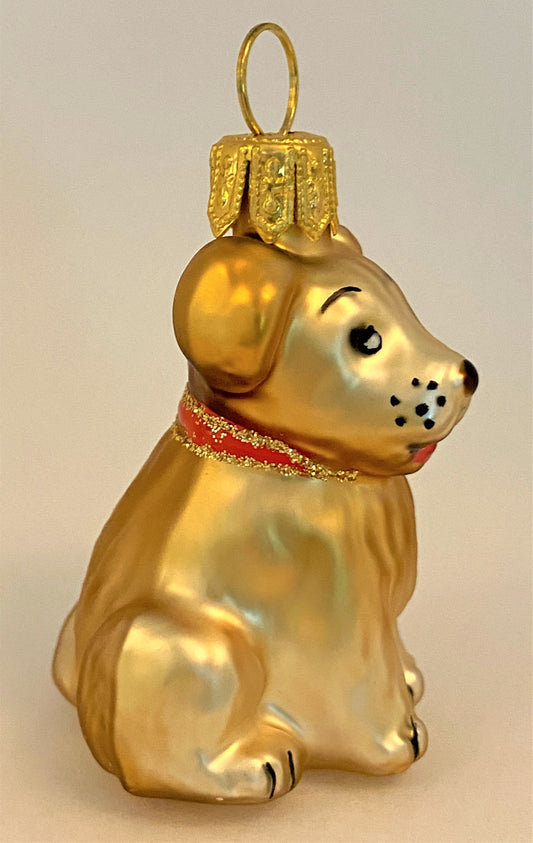 IMG_3578Th7J1AgXqrIe4