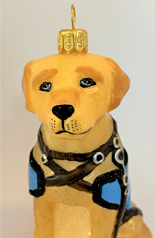 IMG_3630XCmLKmzdJQ7pv