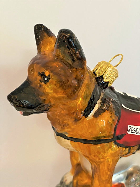 IMG_36329dRlcYw4Tyodn