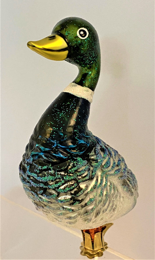 IMG_3700zbG6ylHaMqfuJ