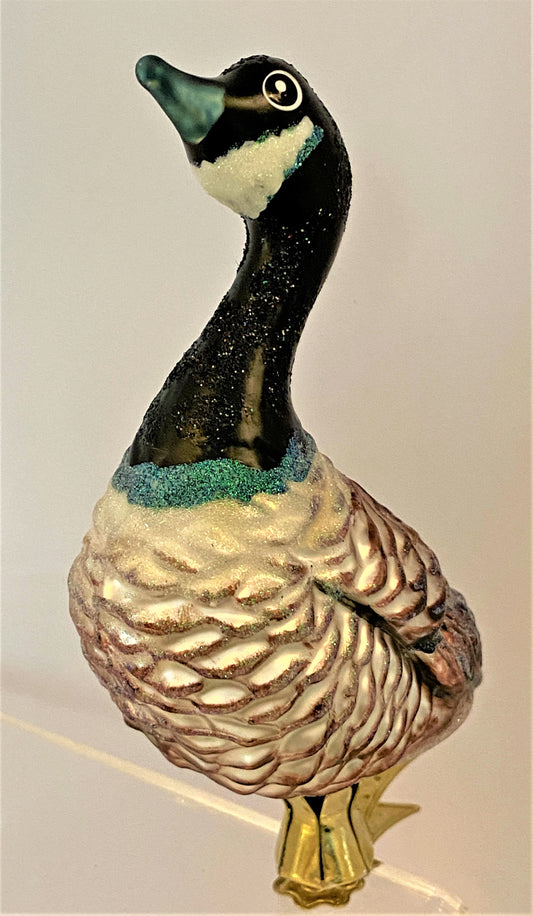 IMG_3703jR5ubtgu6z9al