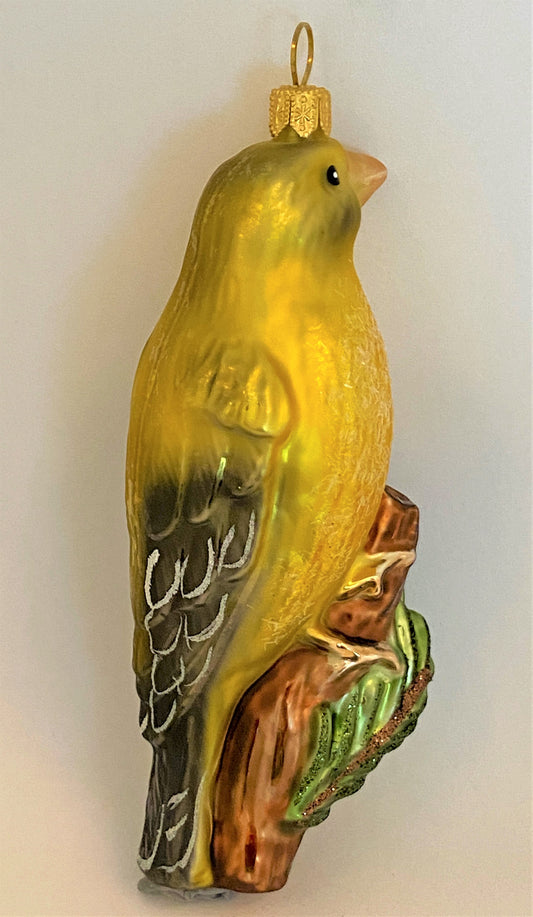 IMG_3745LG4NZpb2DI4gm