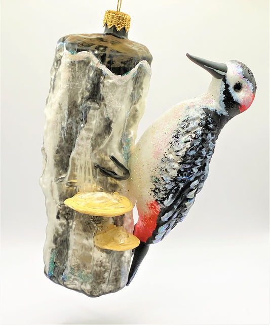 IMG_3876plAgDXQw9sfDK