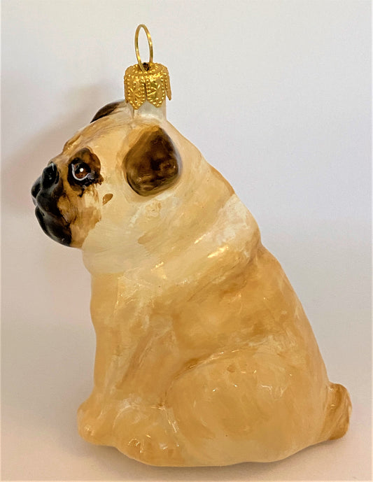 IMG_4006KklQUpHnmTqWh