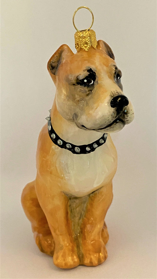 IMG_4014pgz9FQHLHRnFD