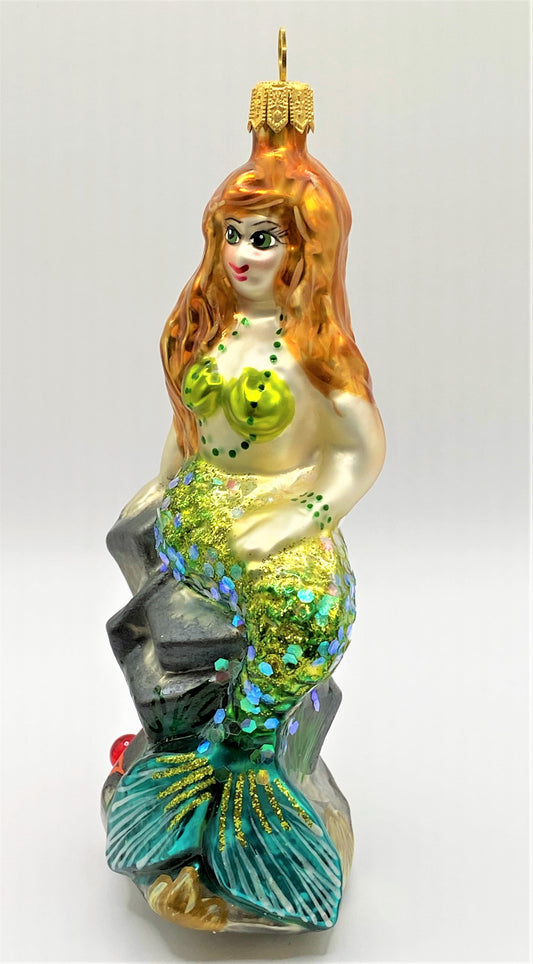 IMG_4249ZT4KOFR5F5ATI