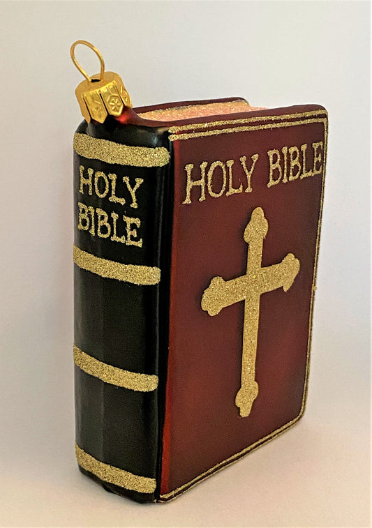 IMG_4368iEqVTpow8zP4E