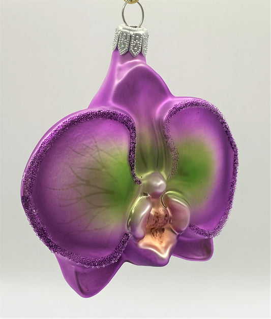 IMG_46770i9e18D4o8NcL