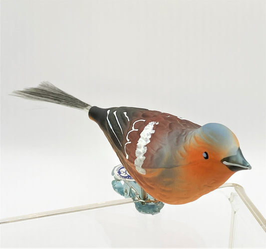 IMG_4702I4siiMRSu2Wxn