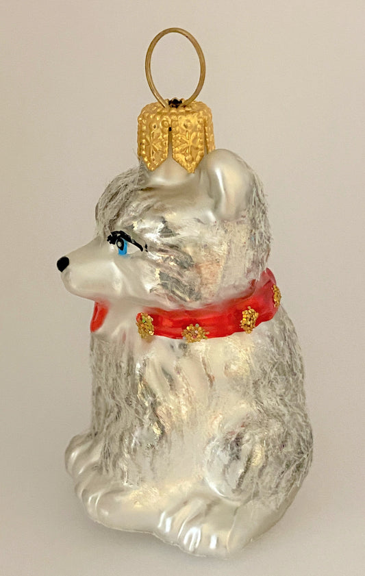 IMG_4721Vq6Q06RIl9KFL