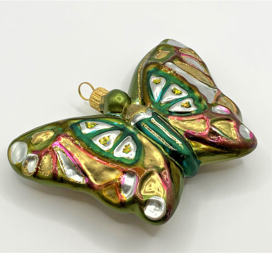 IMG_4996ck5zL1d45LGaR