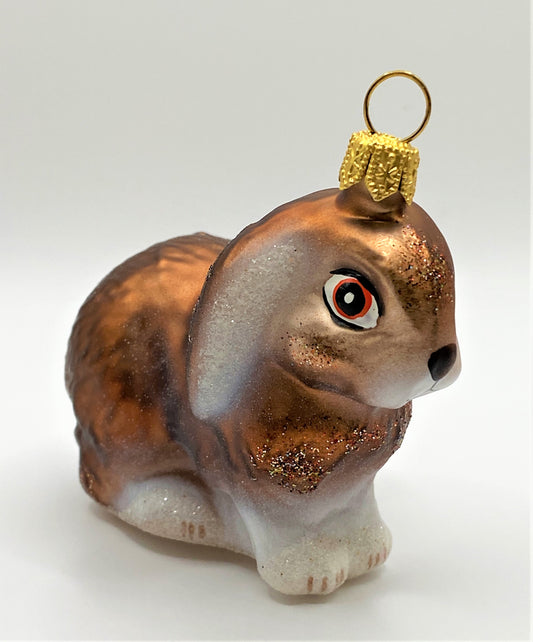 IMG_50096iB1MsURUPzsY