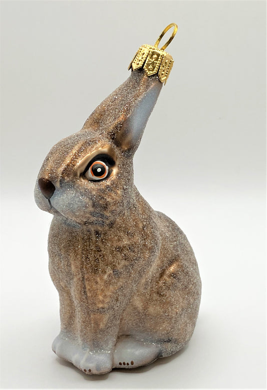 IMG_50131AS8JVzLeCkOr