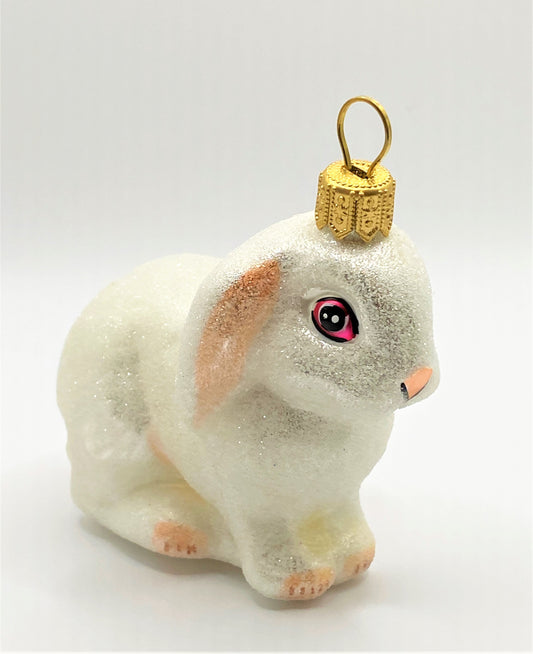 IMG_5020AzRFlOK7h6iuJ