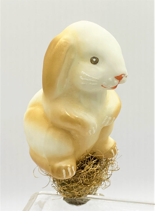 IMG_5069EJ9dIQhYKXwzK