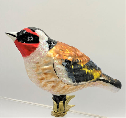 IMG_5117RuYsltqW5VO9c