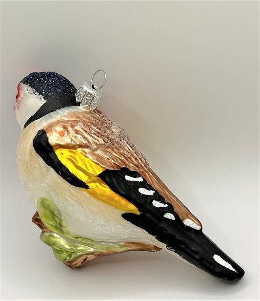 IMG_5120a1WeFNSFmKJOC