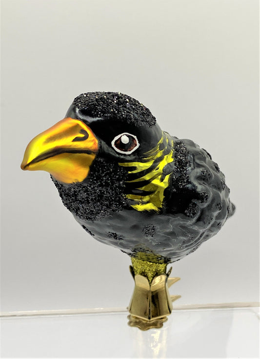 IMG_5127bvOBRAMlOW6Yp