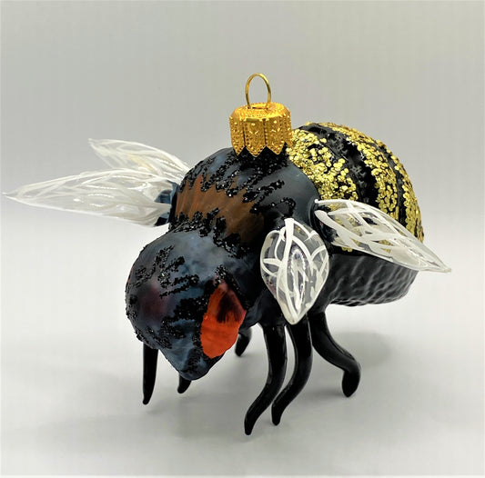 IMG_51904Hs0hkifGbXxe