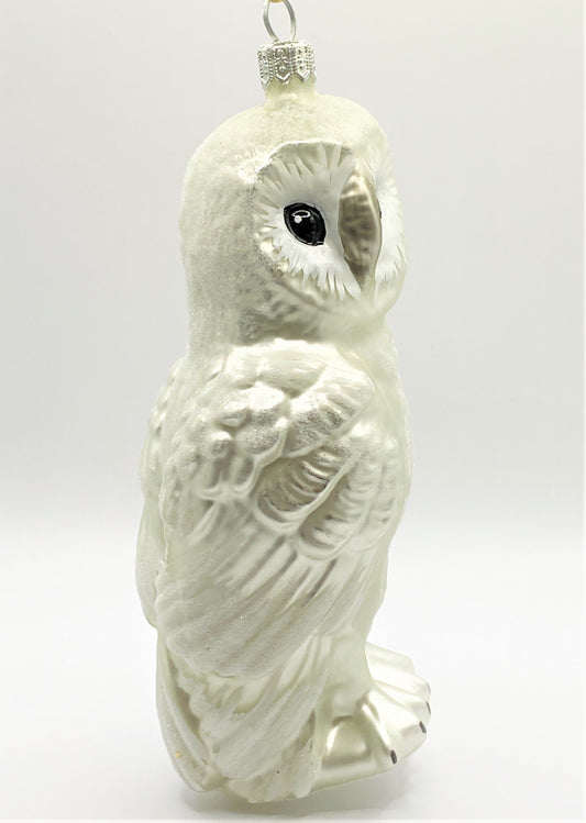 IMG_5259yPqvnLgPUqJSL