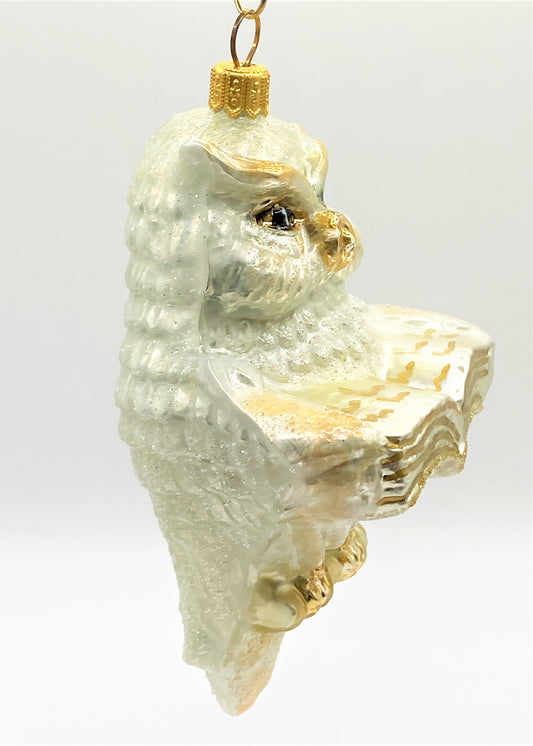 IMG_5291tsj8lUAvcU6ZA