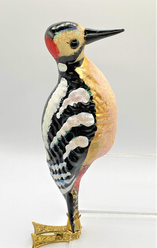 IMG_5295jfNTPRJfJTx7T