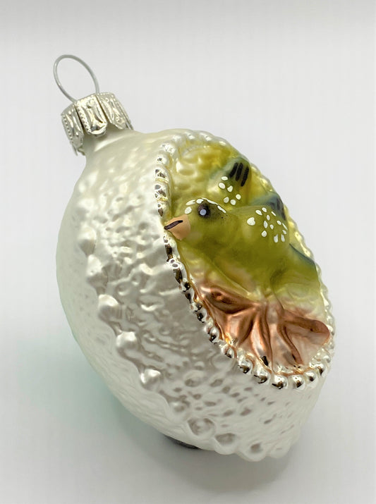 IMG_5317KnsqX7d6Y41WE