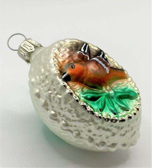 IMG_5323W1K8QtIFTd3ii