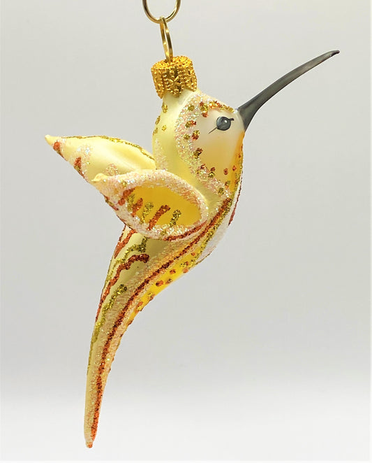 IMG_53454gwXawrpfsvGQ