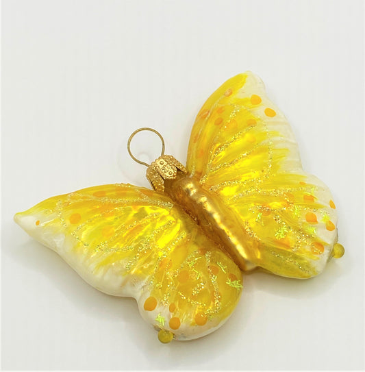 IMG_5400wLwsygFDwfm6c