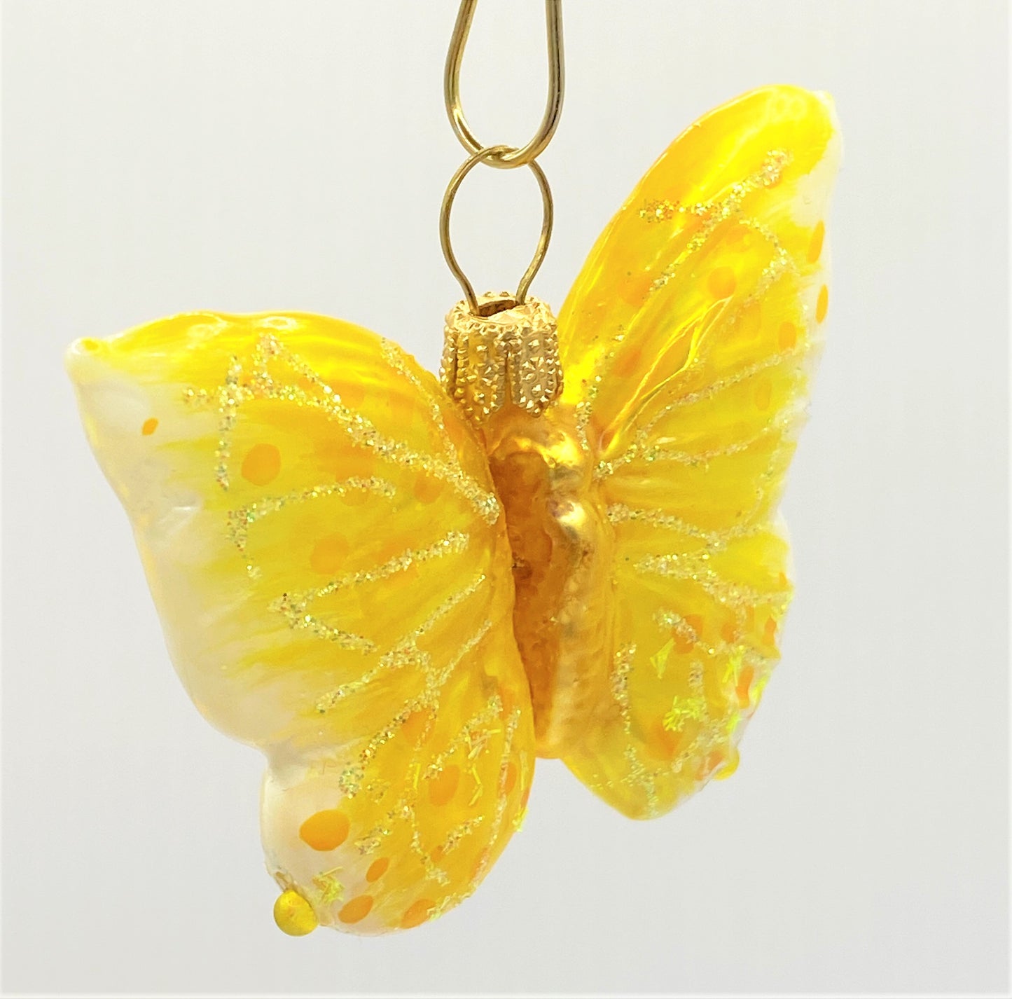 IMG_5402pPVEl0uduYpq7