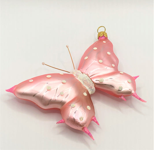 IMG_54098hBPocZbxW5Hh