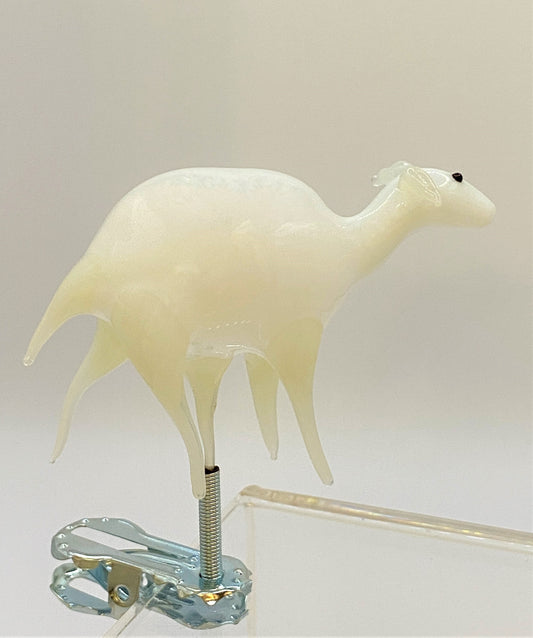 IMG_5429u66oMX70a7wKl