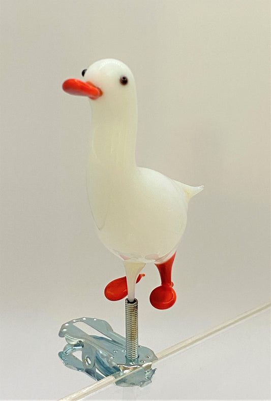 IMG_54332Ri8rq1Ns5N52